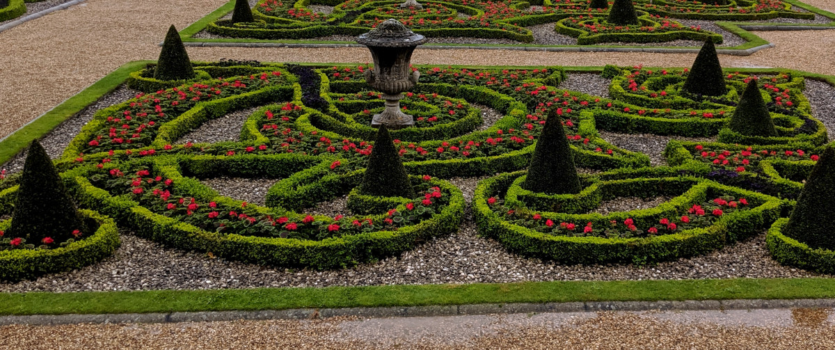 Classic box hedge
